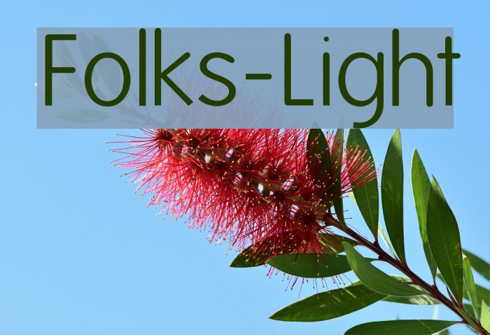 Folks-Light Font examples