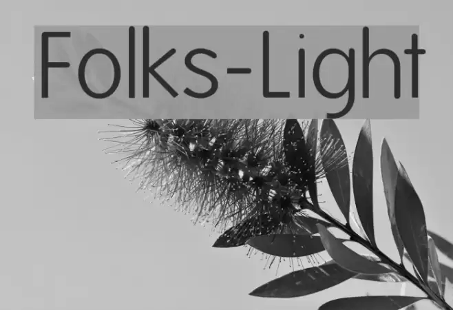 Folks-Light 字体 examples