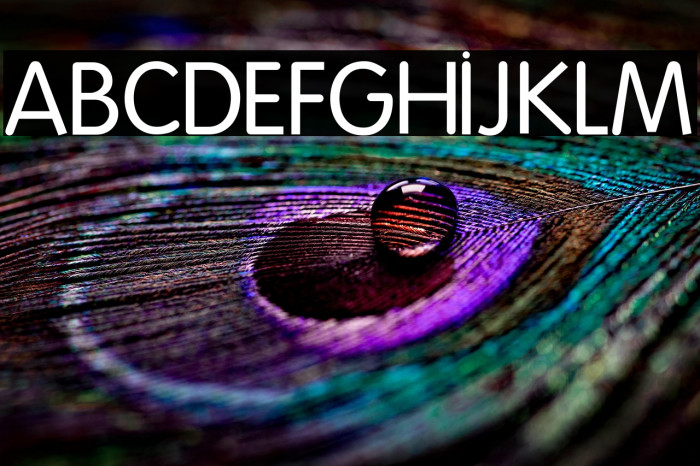 Folks-Normal Example 2