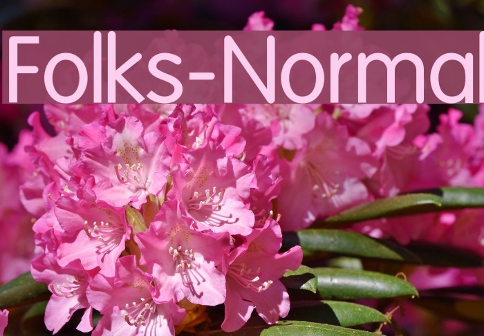 Folks-Normal Font examples
