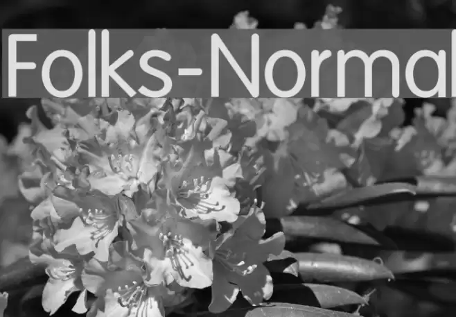 Folks-Normal Schriftart examples