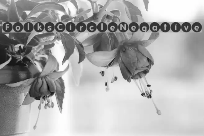 FolksCircleNegative Font examples