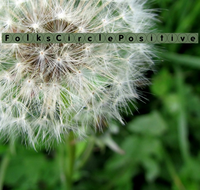 FolksCirclePositive Fonte examples