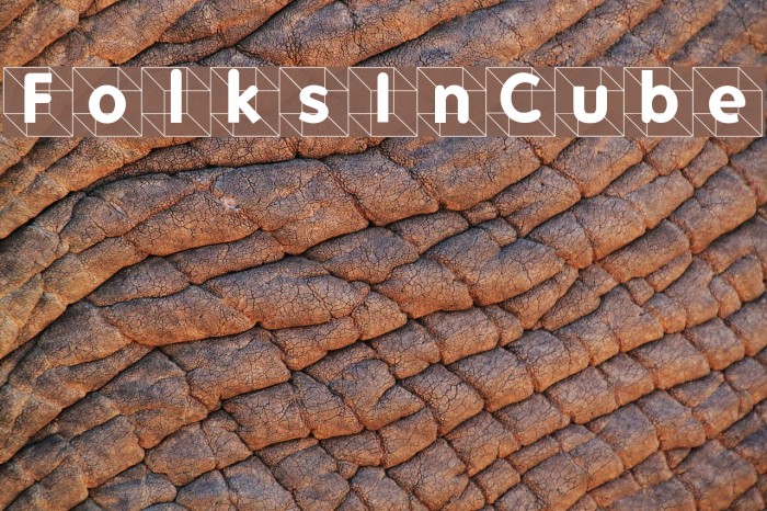 FolksInCube Example 2