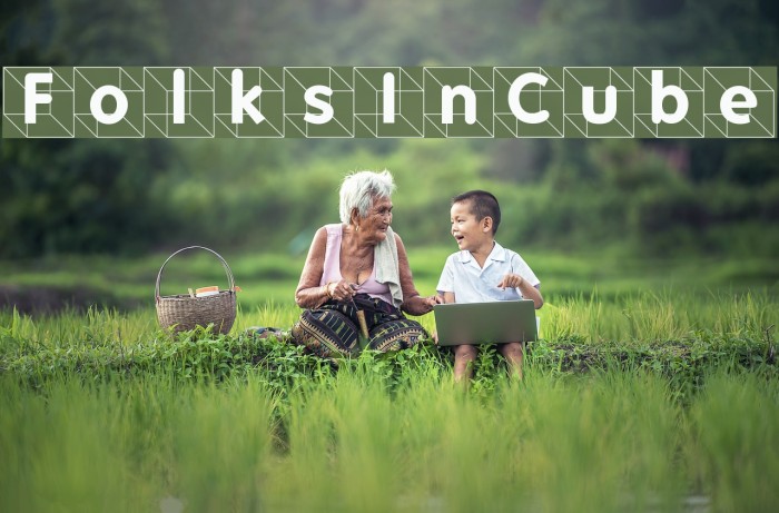 FolksInCube Example 3