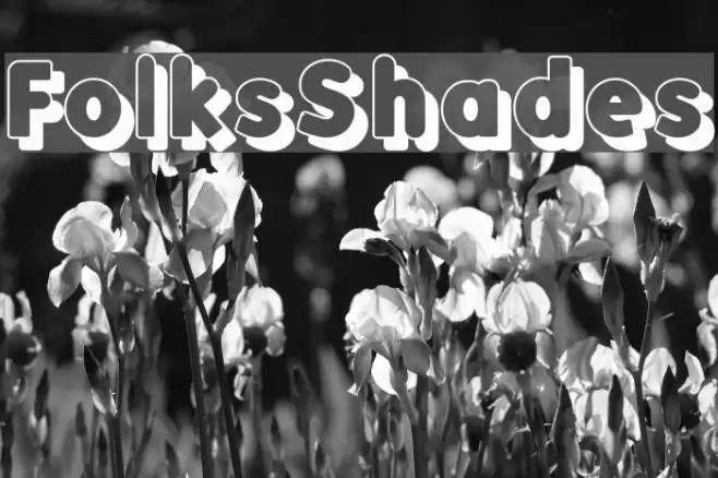FolksShades Font examples
