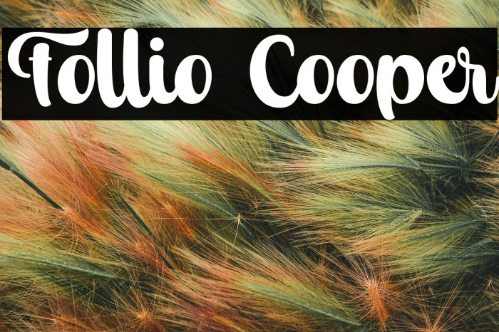 Follio Cooper Example 1
