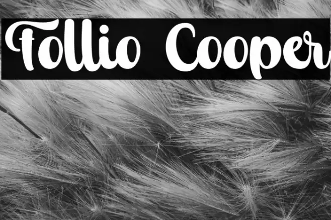 Follio Cooper Font examples