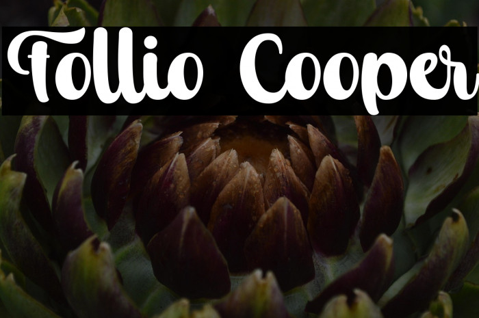 Follio Cooper Example 3