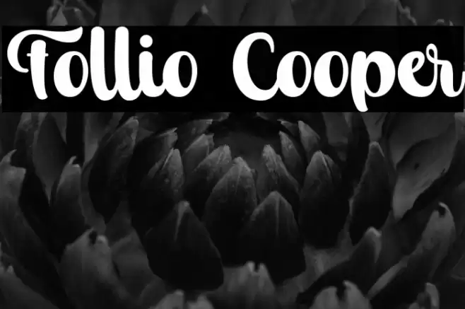 Follio Cooper Font examples