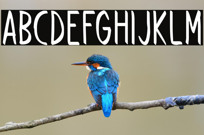 Follow Through Example 1