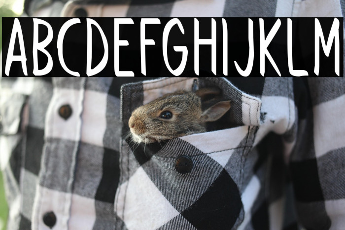 Follow Through Example 3