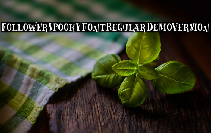 Follower Spooky Font Regular Demo Version Example 1