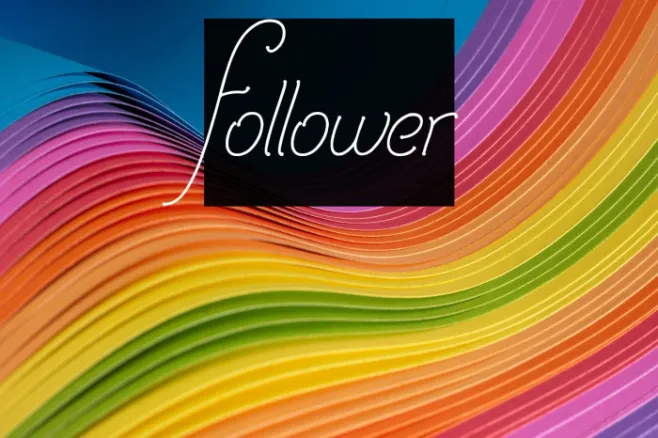 Follower Example 1