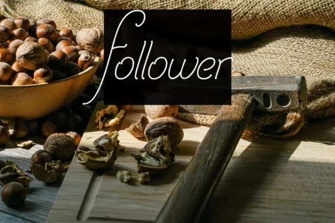 Follower Example 2