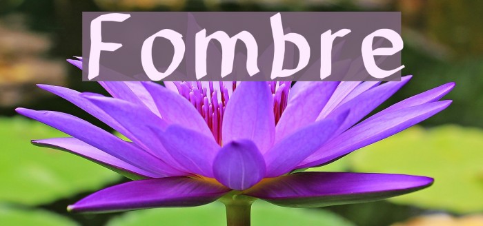 Fombre Font examples