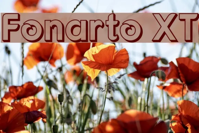 Fonarto XT Example 2