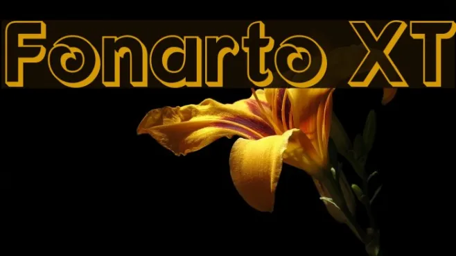 Fonarto XT Example 3