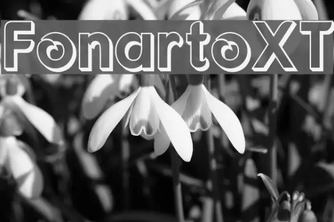 FonartoXT Font examples