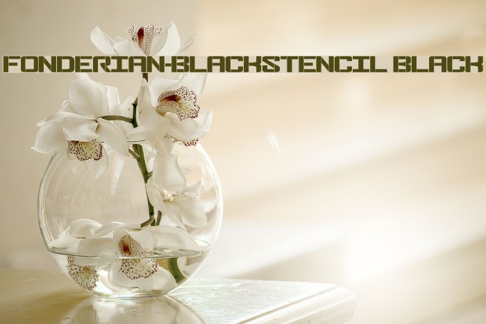 Fonderian-BlackStencil Black Font examples
