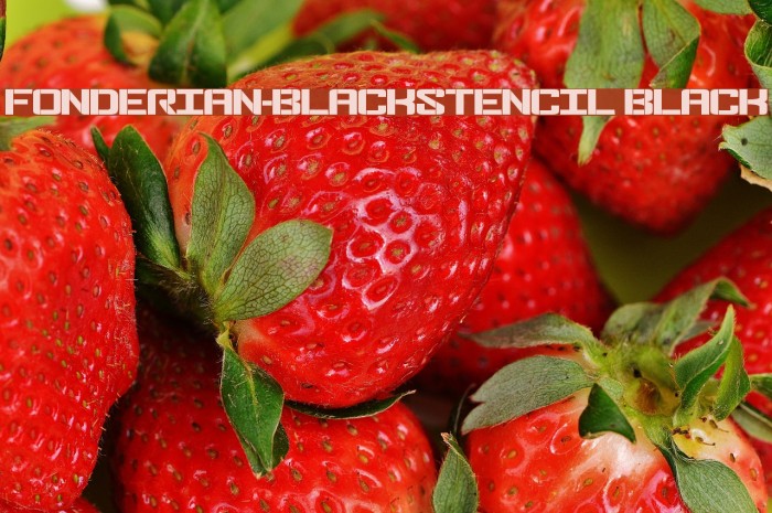 Fonderian-BlackStencil Black Font examples