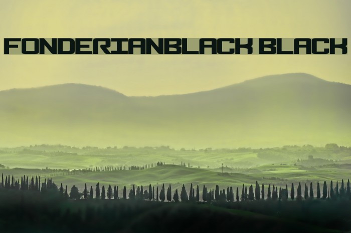 FonderianBlack Black Font examples