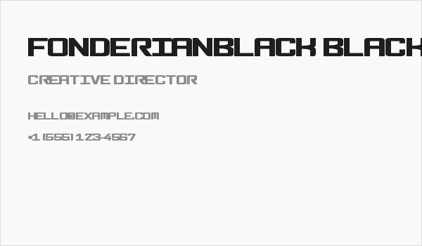 FonderianBlack Black Business Card
