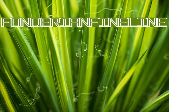 FonderianFineline Font examples