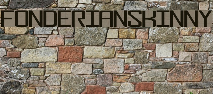 FonderianSkinny لخطوط تنزيل examples