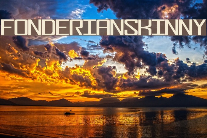 FonderianSkinny لخطوط تنزيل examples