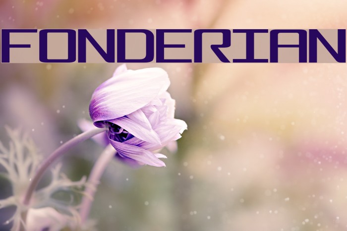 Fonderian Font examples