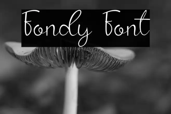 Fondy Font examples