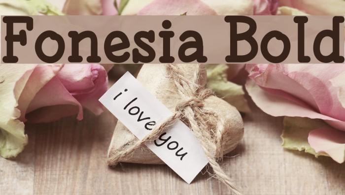 Fonesia Bold Font examples