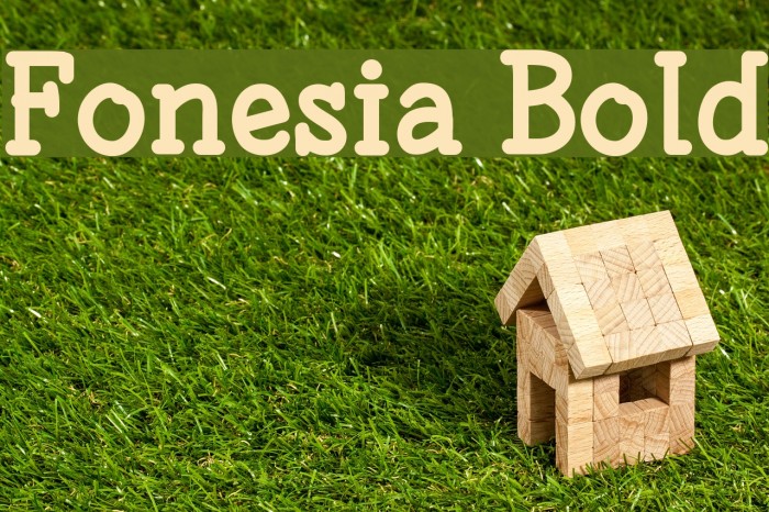 Fonesia Bold Font examples