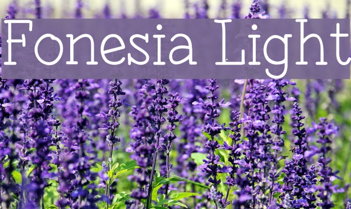Fonesia Light Schriftart examples