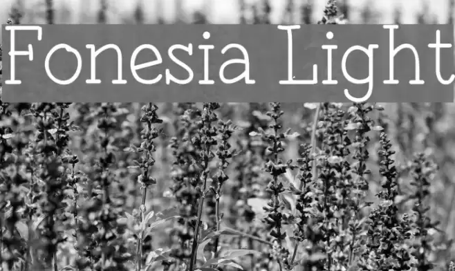 Fonesia Light Font examples