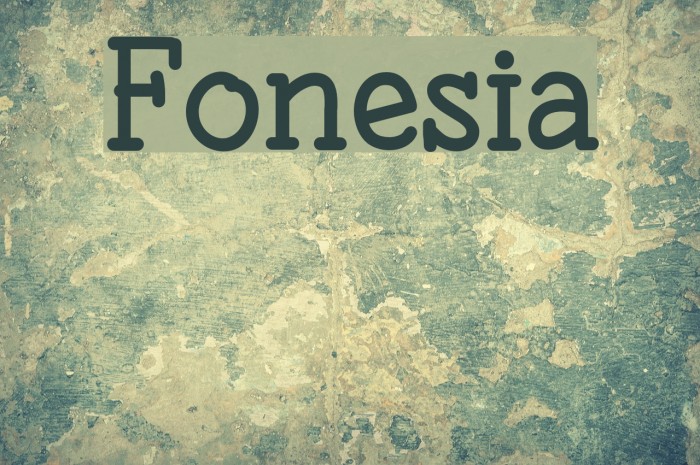 Fonesia Example 1