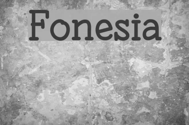Fonesia Font examples