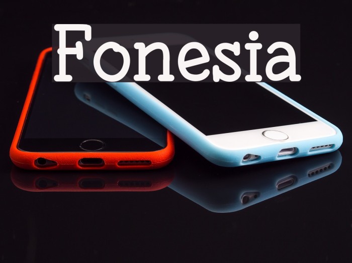 Fonesia Example 2