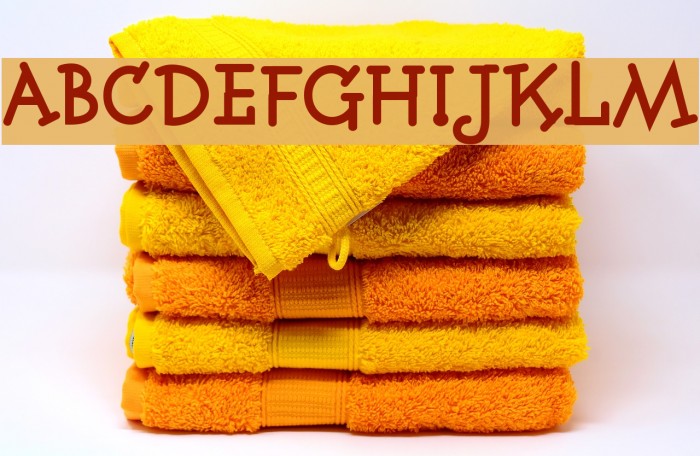 Fonitek Bold Example 1