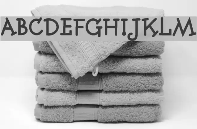 Fonitek Bold Font examples