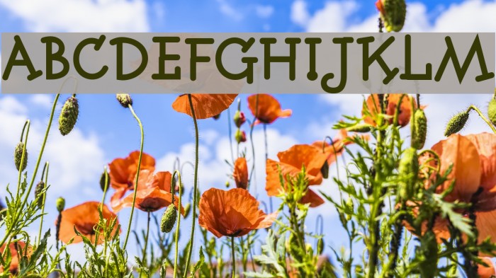 Fonitek Bold Example 2