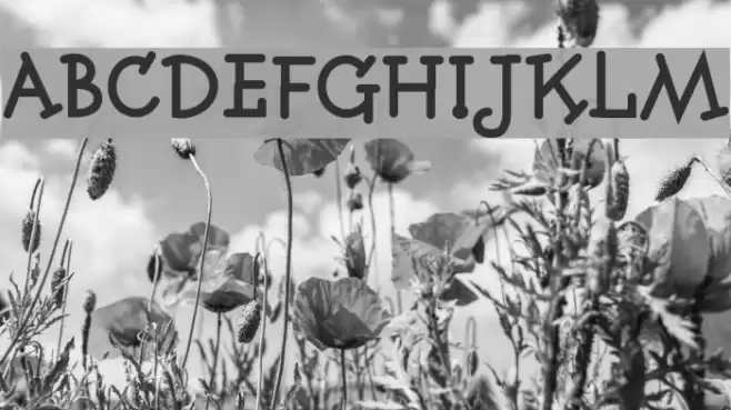 Fonitek Bold Font examples