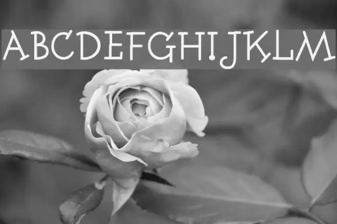 Fonitek Font examples