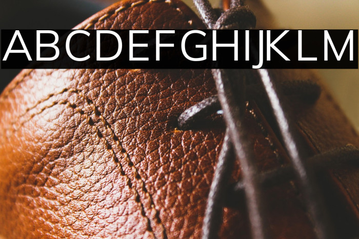 Font Awesome 5 Free Regular Example 1