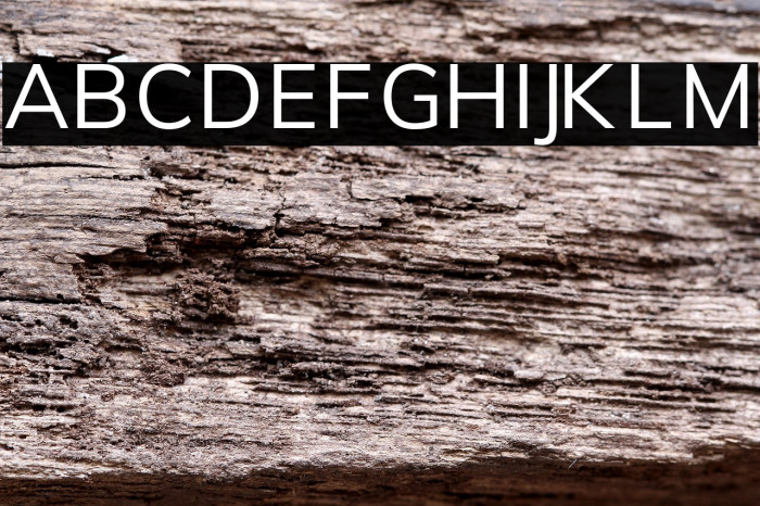 Font Awesome 5 Free Solid 900 examples