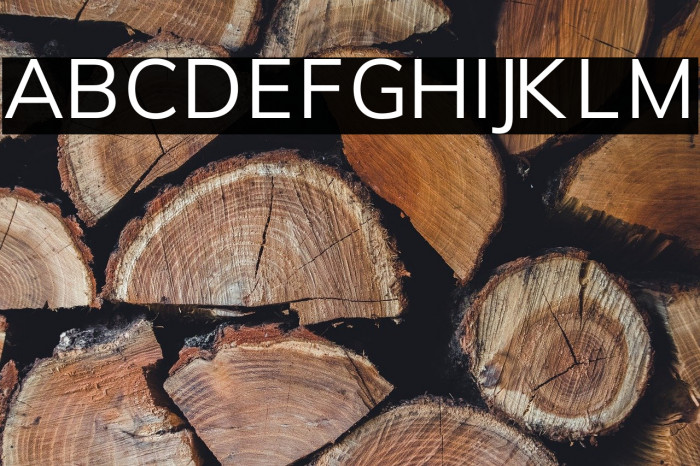 Font Awesome 5 Free Solid 900 examples