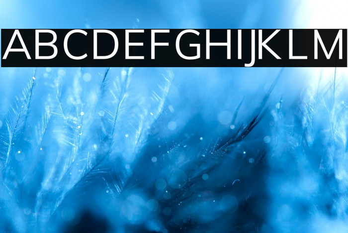 Font Awesome 5 Free Solid Example 1