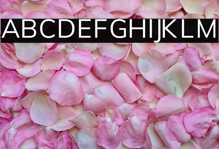 Font Awesome 5 Free Solid Example 3