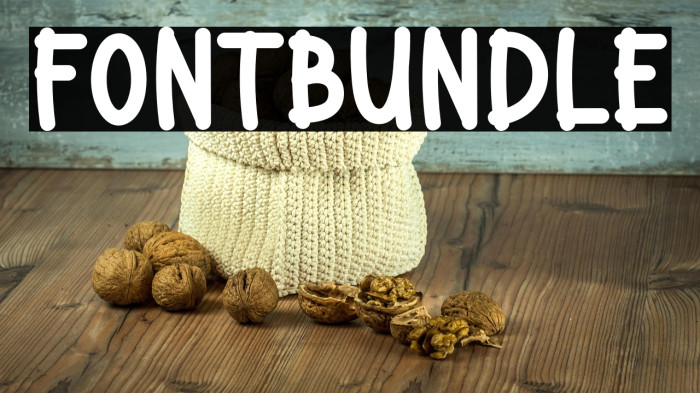 Font Bundle Example 1